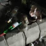 Oplus_16908288